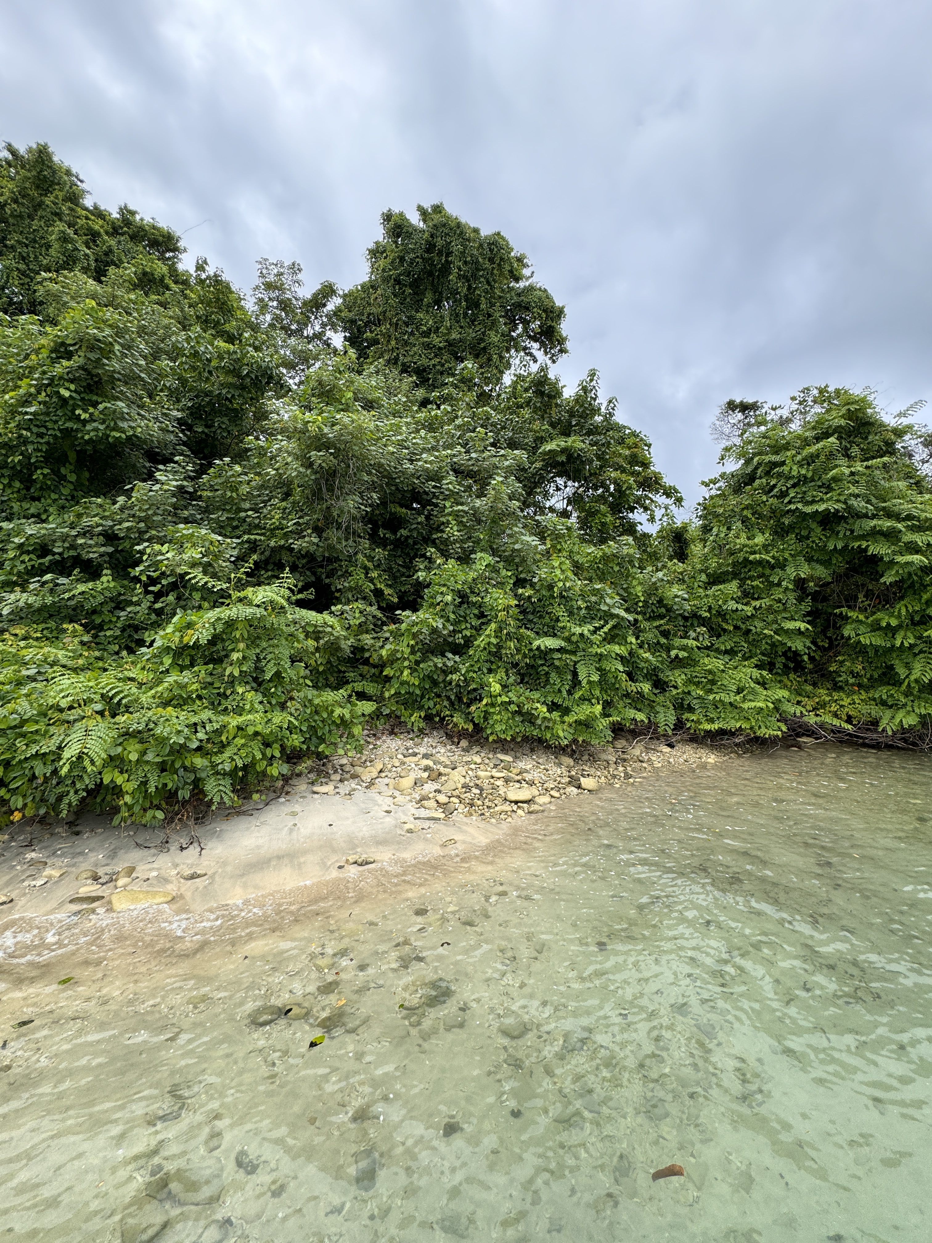 iPhone 15 Pro Fotoğraf Stili Sıcak ile ağaçlar, kum ve su ile çekilen doğa fotoğrafı