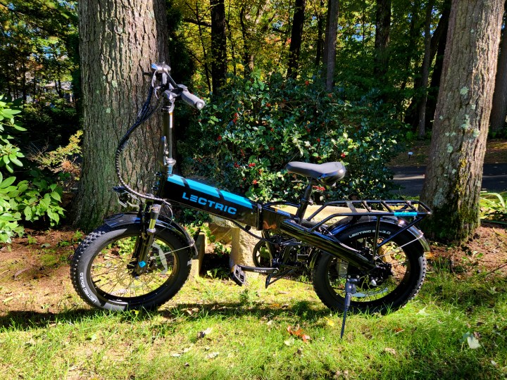 The Lectric XP 3.0 folding e-bike with pine trees, rhododendron, and a holly bush.