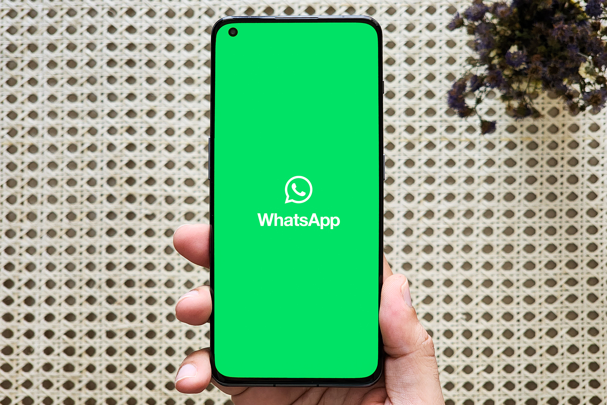 WhatsApp used to be one of my favorite apps. Now, I can't stand it - Vimarsana News