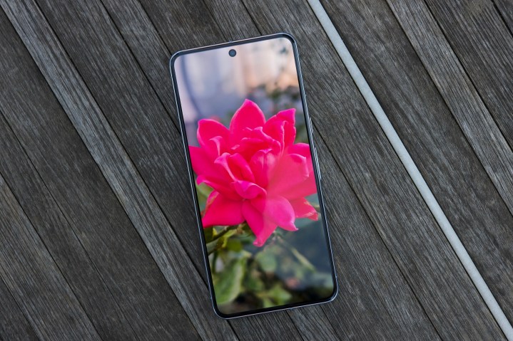 Photo of a flower displayed on the Google Pixel 8 Pro's screen.
