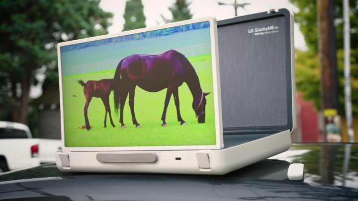 Un cheval et un poulain paissent dans un champ affiché sur un LG StanbyMe Go.