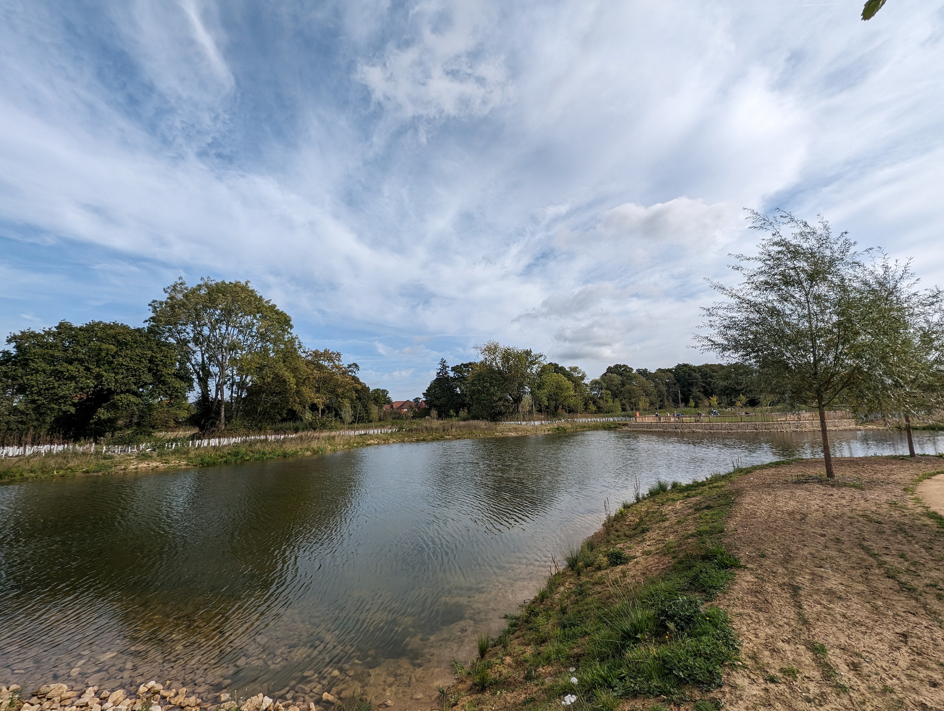 Photo taken with the Google Pixel 8's wide-angle camera.