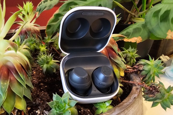 Samsung Galaxy Buds FE in open case, sitting among plants.