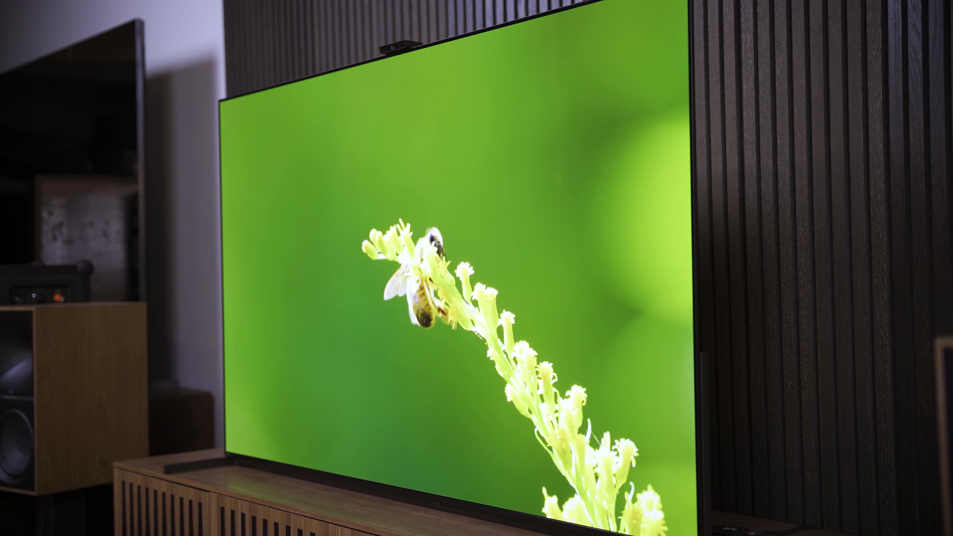 A bee clings to the end of a long flower spray on a vibrant green backgound shown on a Sony A95L QD-OLED.