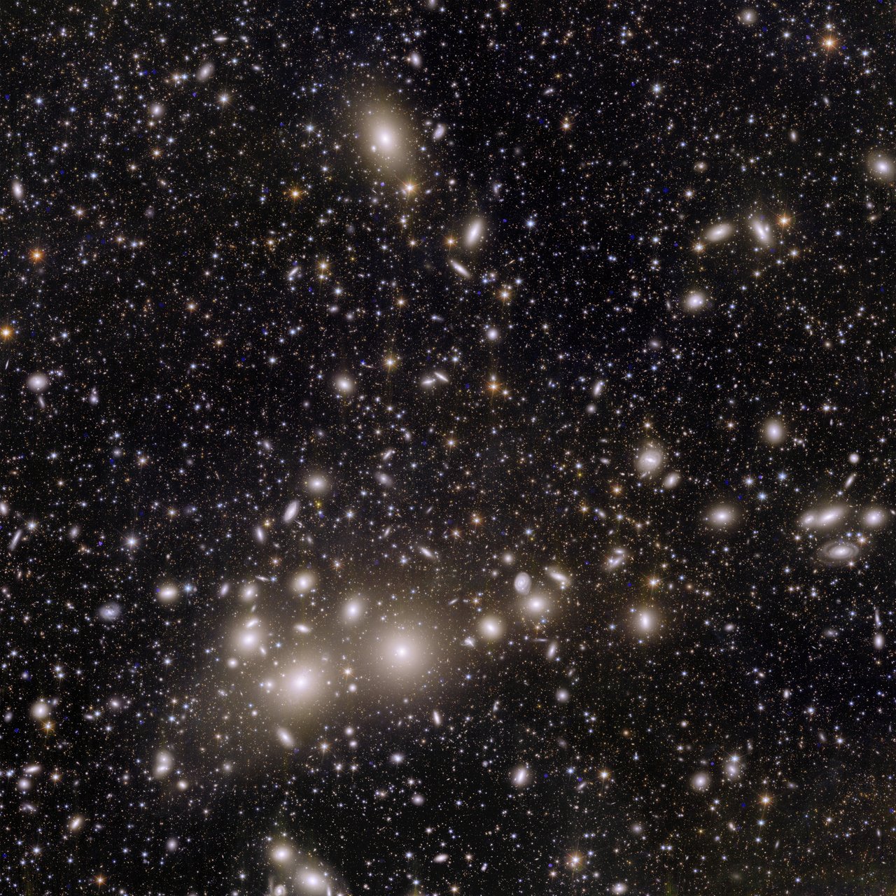 यूक्लिड द्वारा खींची गई पहली छवियों में से एक पर्सियस क्लस्टर को दर्शाती है, जो पृथ्वी से 240 मिलियन प्रकाश वर्ष दूर स्थित हजारों आकाशगंगाओं का एक समूह है। निकटतम आकाशगंगाएँ घूमती हुई संरचनाओं के रूप में दिखाई देती हैं जबकि सैकड़ों हजारों पृष्ठभूमि आकाशगंगाएँ केवल प्रकाश बिंदु के रूप में दिखाई देती हैं।