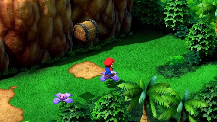 Марио стоит на цветке.