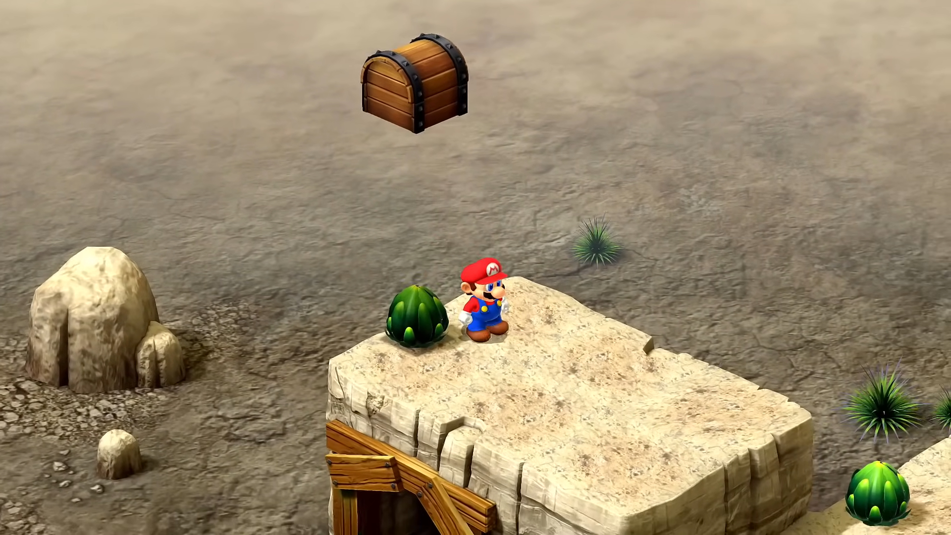 Mario near a cactus.