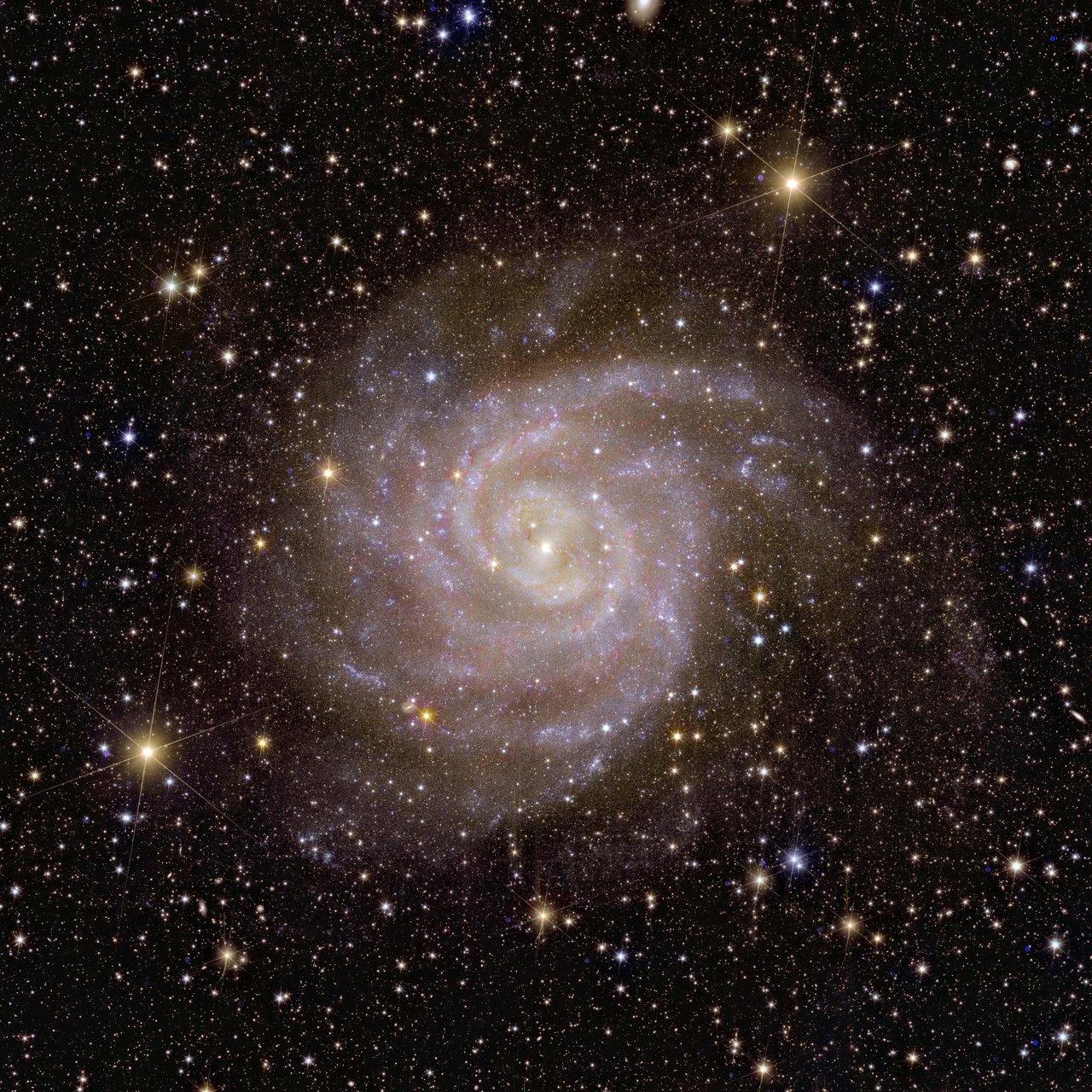 पृथ्वी से लगभग 11 मिलियन प्रकाश वर्ष दूर स्थित सर्पिल आकाशगंगा आईसी 342, आकाशगंगा के भीड़ भरे विमान के पीछे स्थित है: धूल, गैस और तारे इसे हमारे दृष्टिकोण से अस्पष्ट कर देते हैं। यूक्लिड ने धूल में झाँकने और उसका अध्ययन करने के लिए अपने निकट-अवरक्त उपकरण का उपयोग किया।