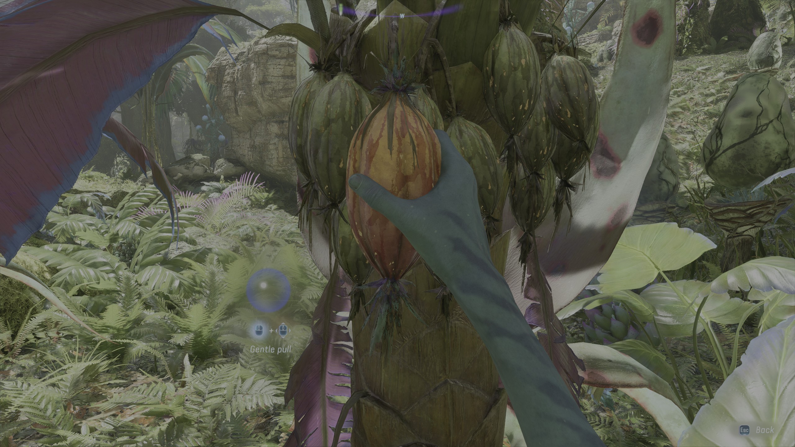 Best cooking recipes in Avatar: Frontiers of Pandora - Vimarsana News