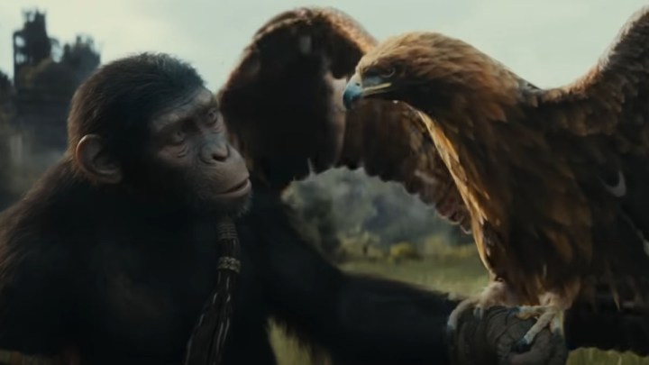 Noa and his bird friend in Kingdom of the Planet of the Apes.