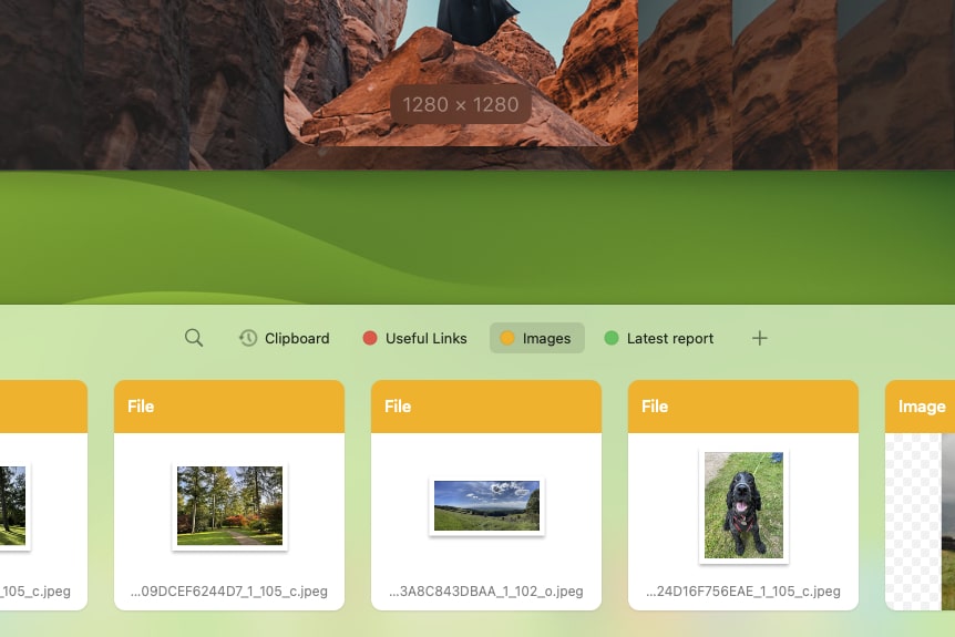 A Pinboard in the Paste Mac app, showing images that have been placed into a folder.