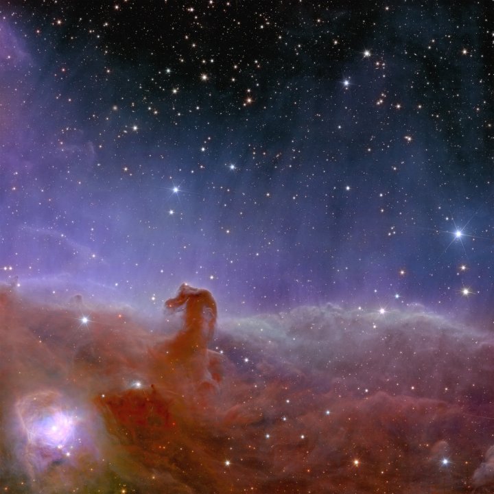The Horsehead Nebula, also known as Barnard 33, is part of the Orion constellation. About 1,375 light-years away, it is the closest giant star-forming region to Earth. With Euclid, which captured this image, scientists hope to find many dim and previously unseen Jupiter-mass planets in their celestial infancy, as well as baby stars.