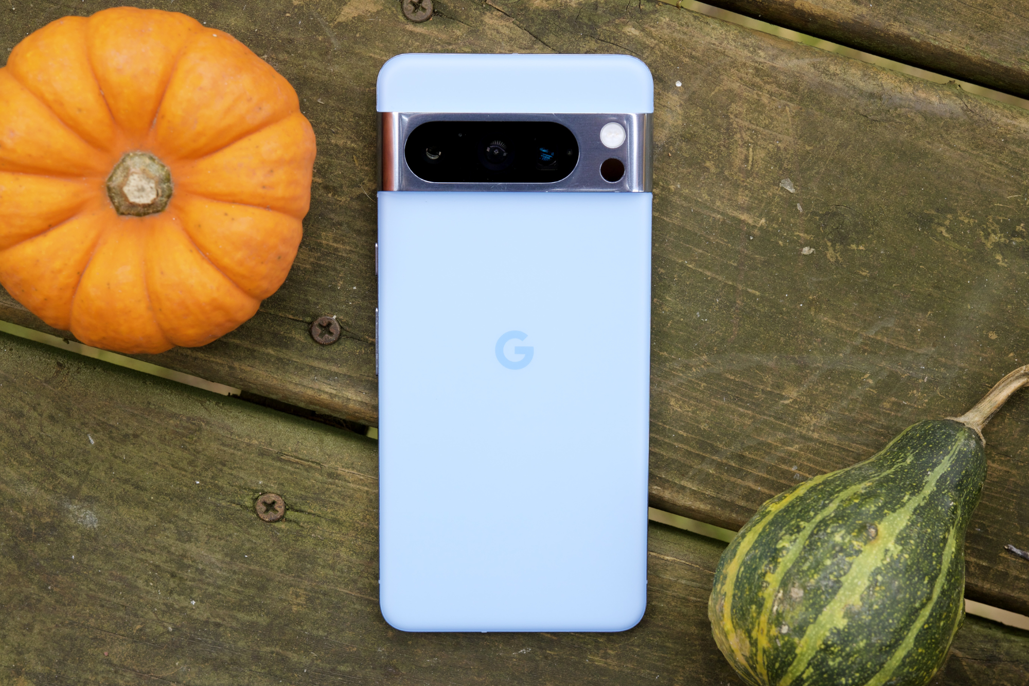 یک Google Pixel 8 Pro آبی رنگ که رو به پایین در کنار یک کدو تنبل کوچک و کدو تنبل دراز کشیده است.