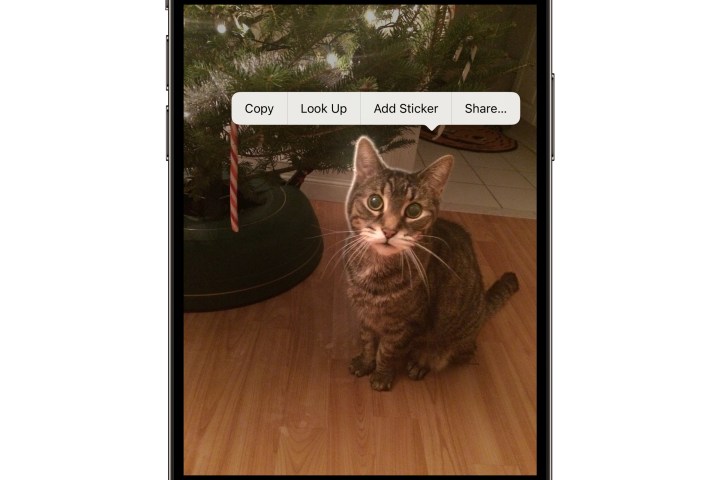 iPhone mostrando el menú contextual para crear una pegatina de iMessage desde la aplicación Fotos.