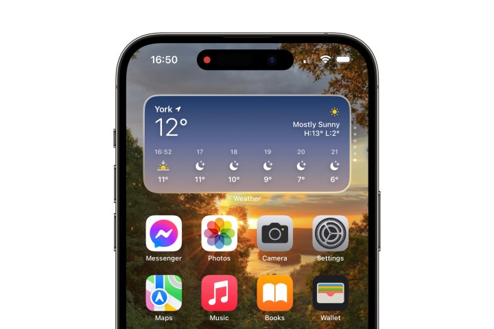 iPhone showing Home Screen with screen recording active.
