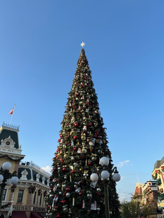 Christmas Tree at Disneyland taken with iPhone 15.