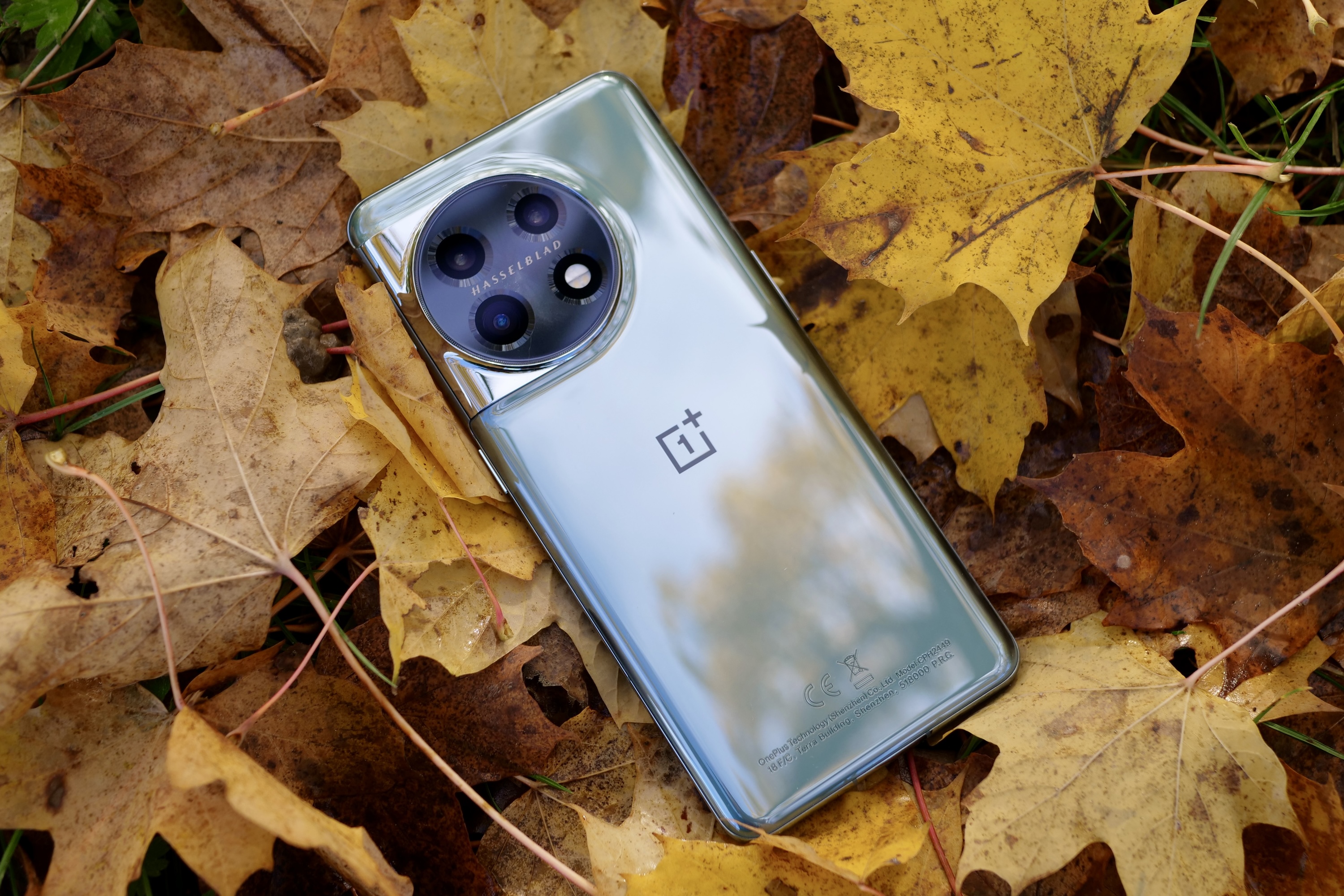 The OnePlus 11 on some leaves, showing the rear panel.