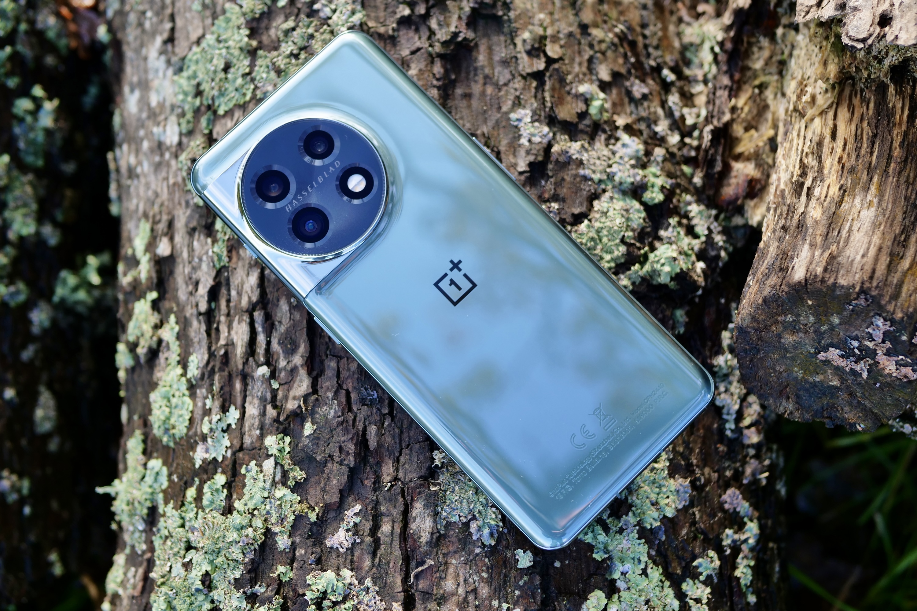 The OnePlus 11 on a log, showing the rear panel.