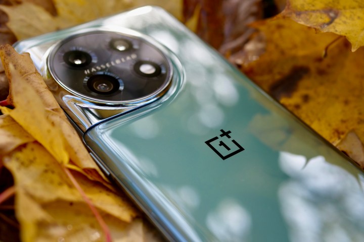 The OnePlus 11 on some leaves, showing the brand logo.