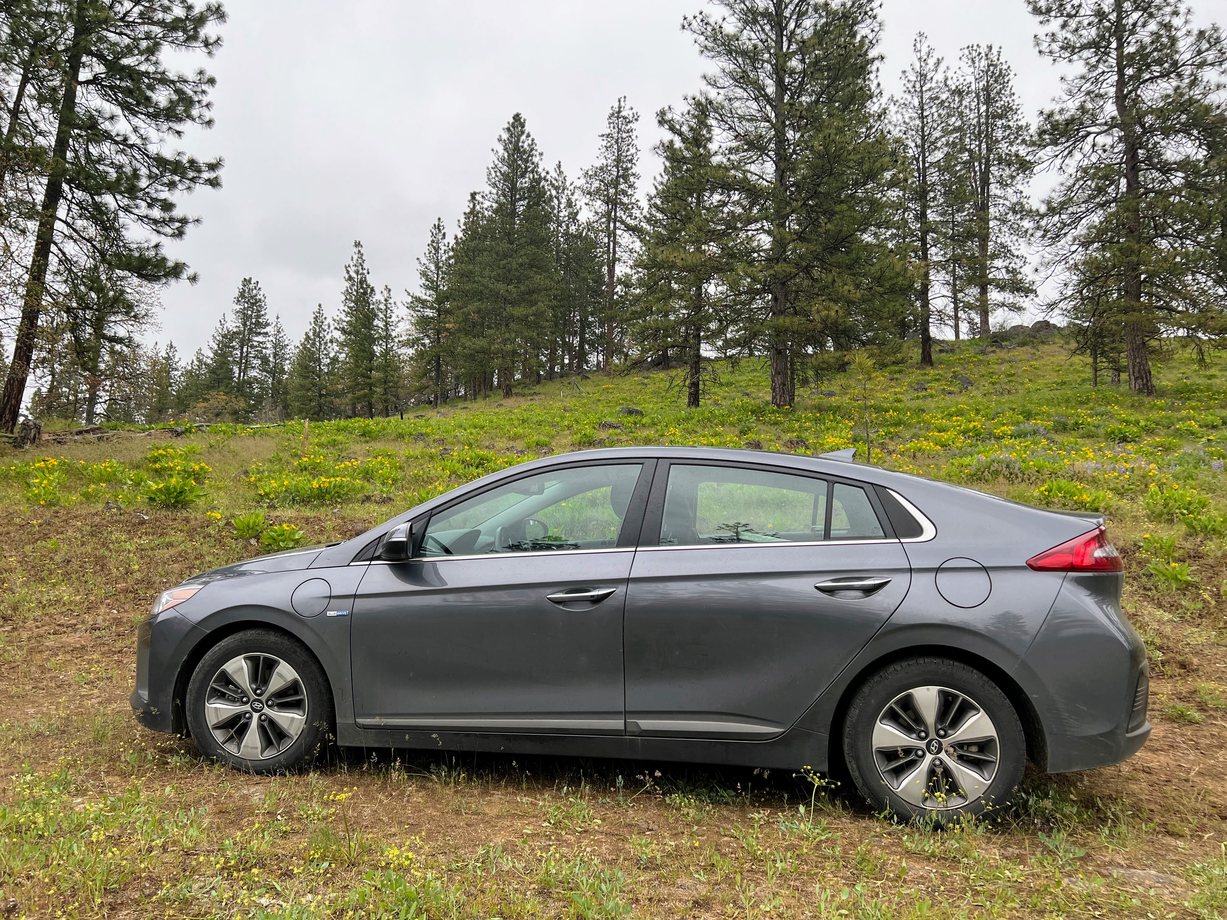 The author's 2019 Hyundai Ioniq sits in a grass field, where it has failed to start.