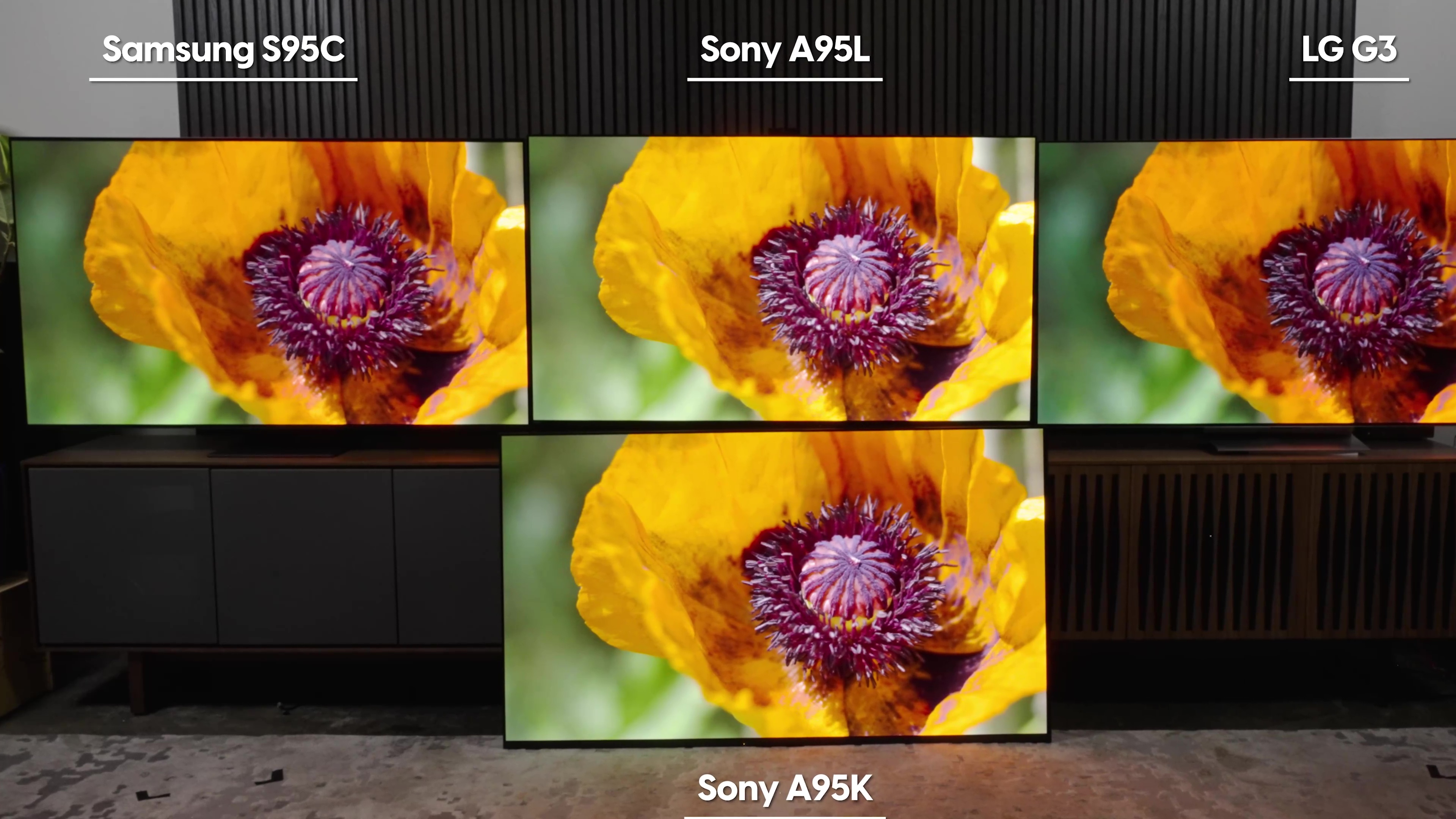 A yellow-orange flower in close up compared on a Samsung S95C, Sony A95L, LG G3, and Sonly A95K TV. 
