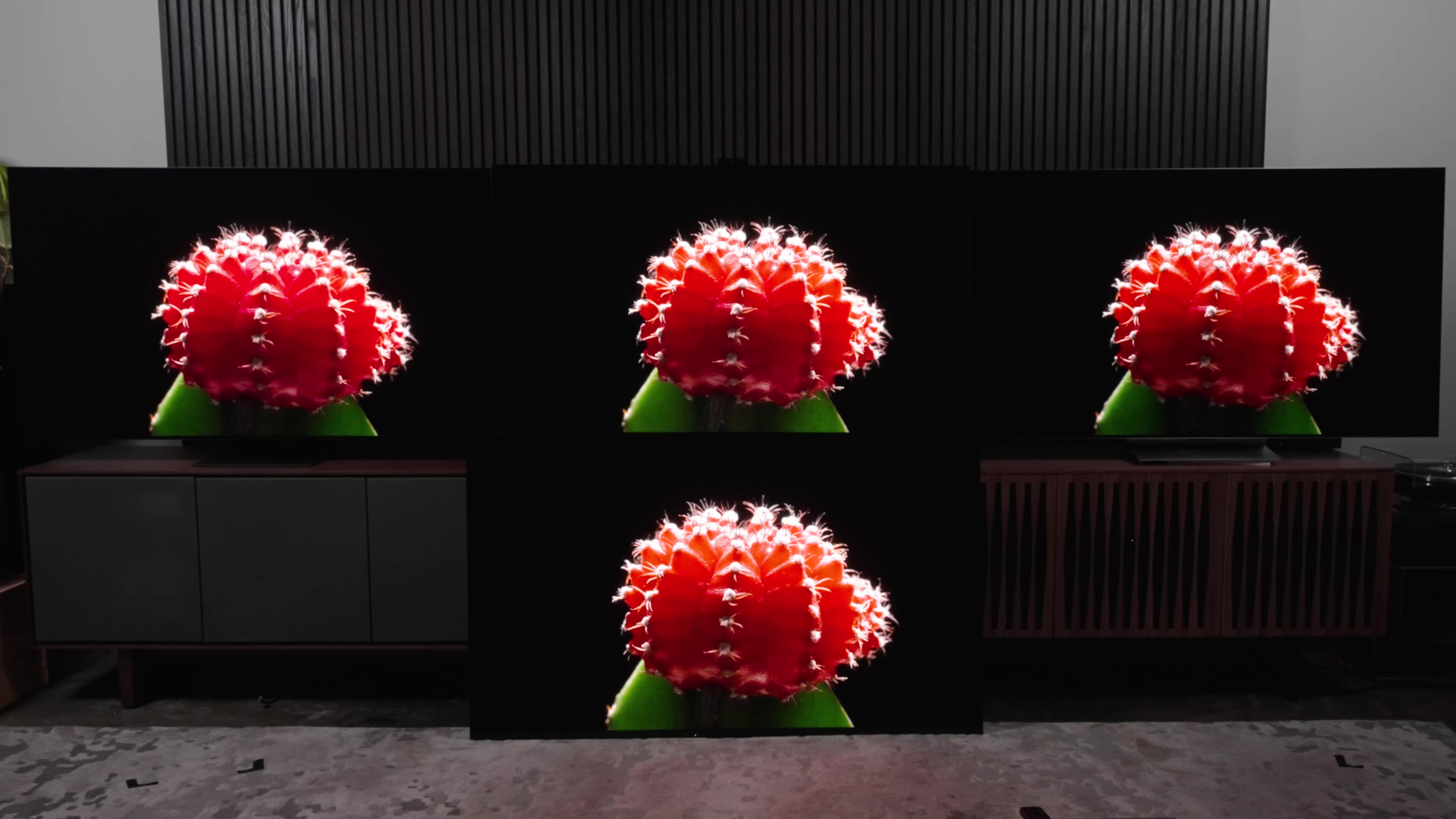 A red cactus flower against a black background shown on four TVs. 