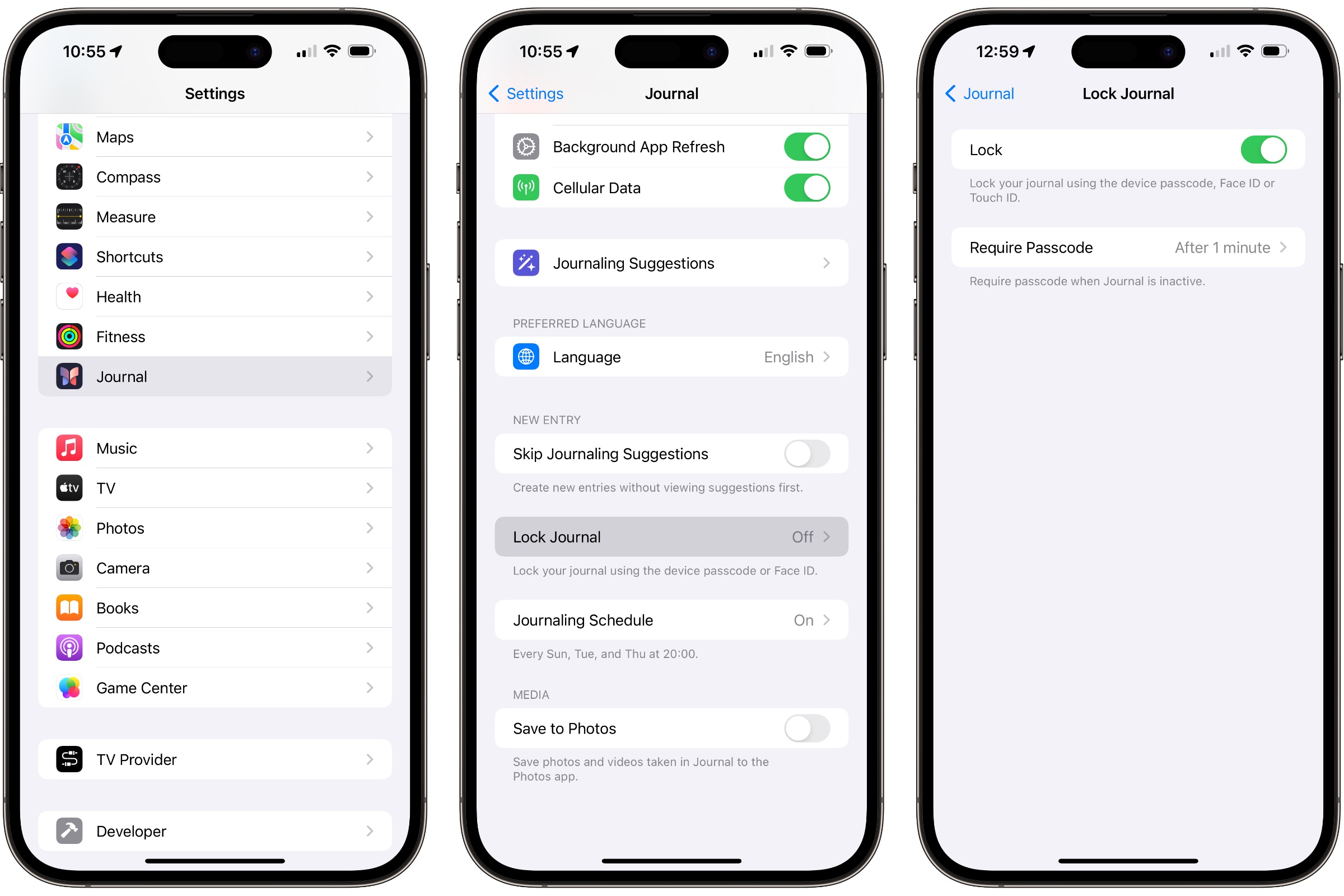 Settings for automatically locking the Journal app in iOS 17.2.