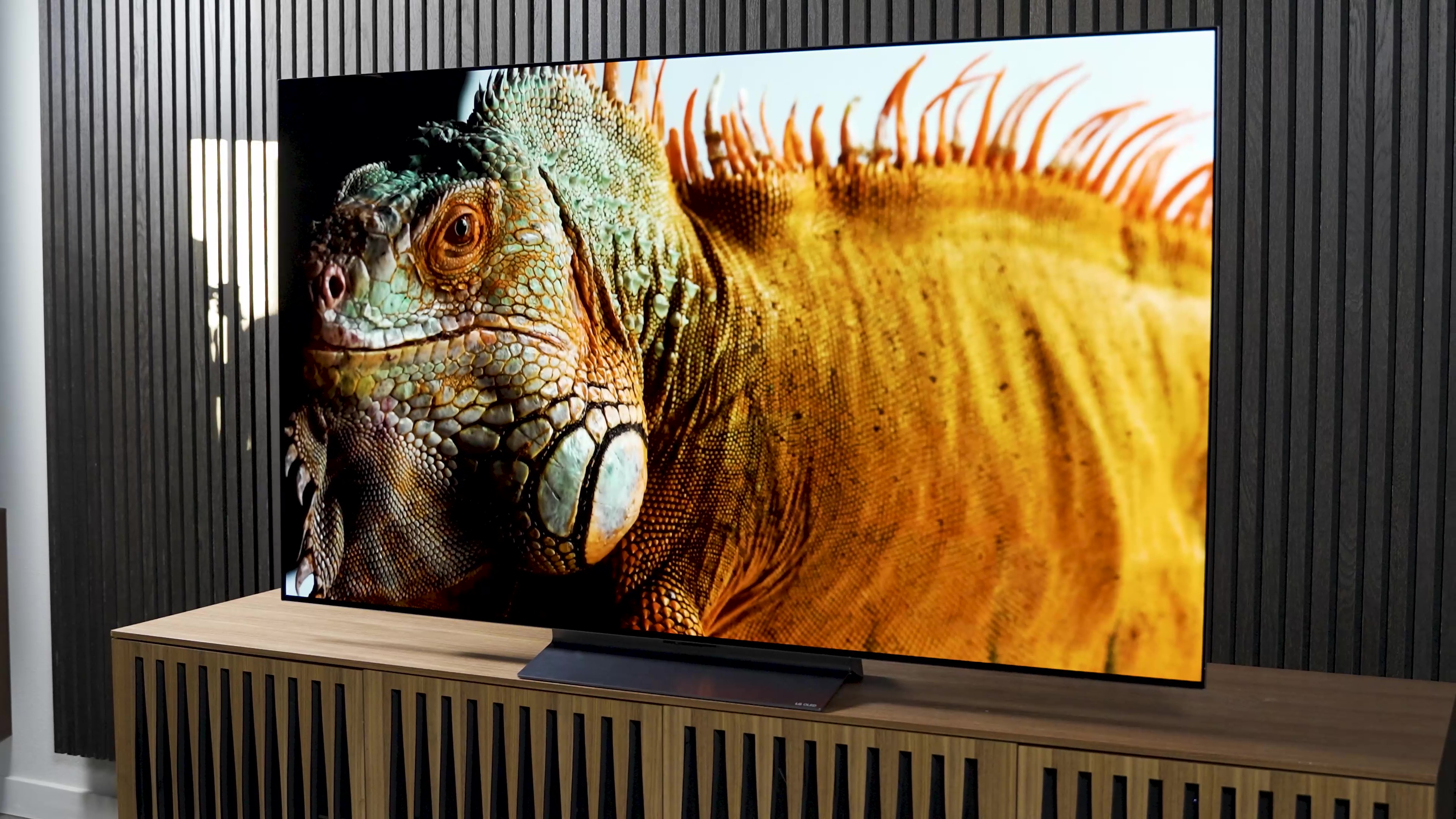 A closeup of a colorful iguana shown on an LG C3 OLED.