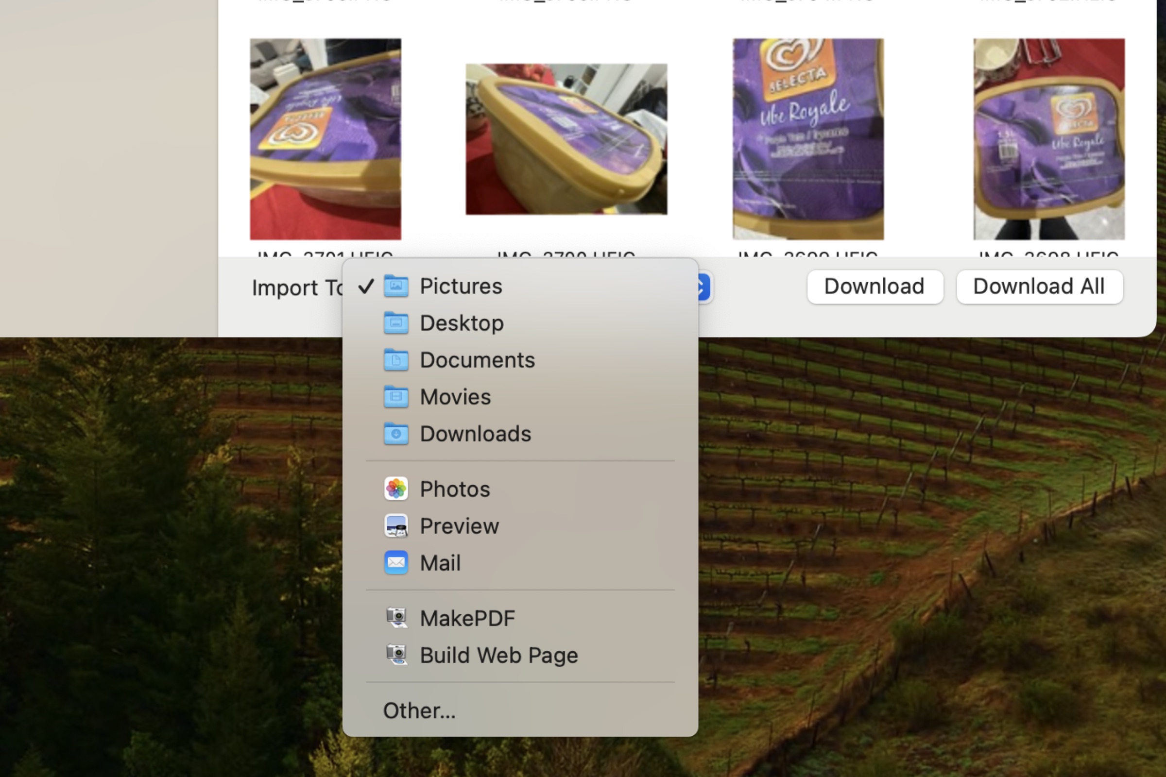 Selecting a destination folder in the macOS Image Capture tool.