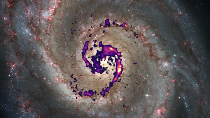 Esta ilustración muestra la distribución de la radiación de la molécula de diazenilio (colores falsos) en la galaxia del remolino, comparada con una imagen óptica. Las áreas rojizas de la fotografía representan nebulosas de gas luminosas que contienen estrellas calientes y masivas que atraviesan zonas oscuras de gas y polvo en los brazos espirales. La presencia de diazenilio en estas regiones oscuras sugiere nubes de gas particularmente frías y densas.