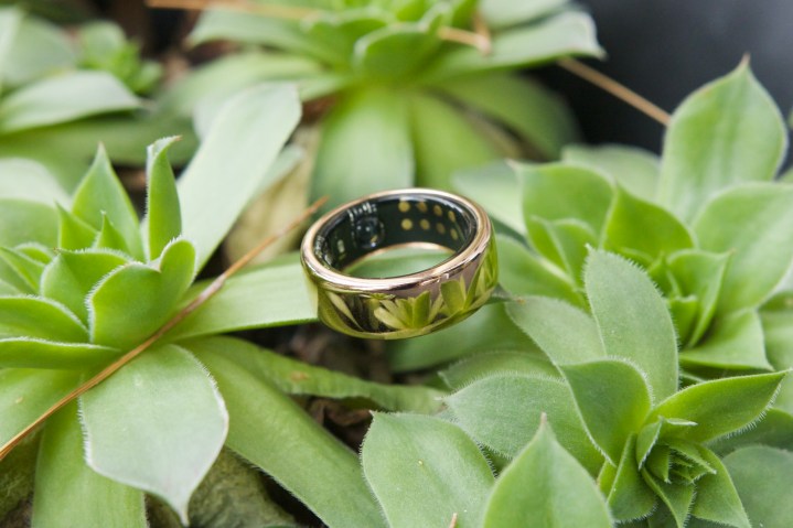 The Oura Ring Horizon resting on a green succulent plant.