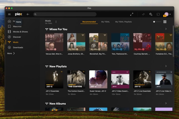 A view of the Tidal integration in Plex Server.