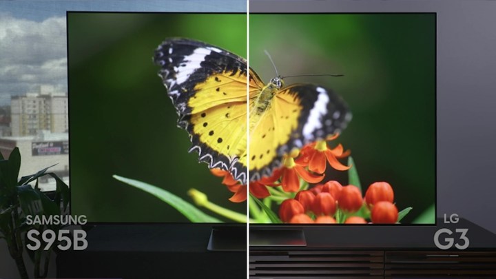A side-by-side color comparison of a butterly on Samsung QD-OLED and LG MLA OLED TVs. 