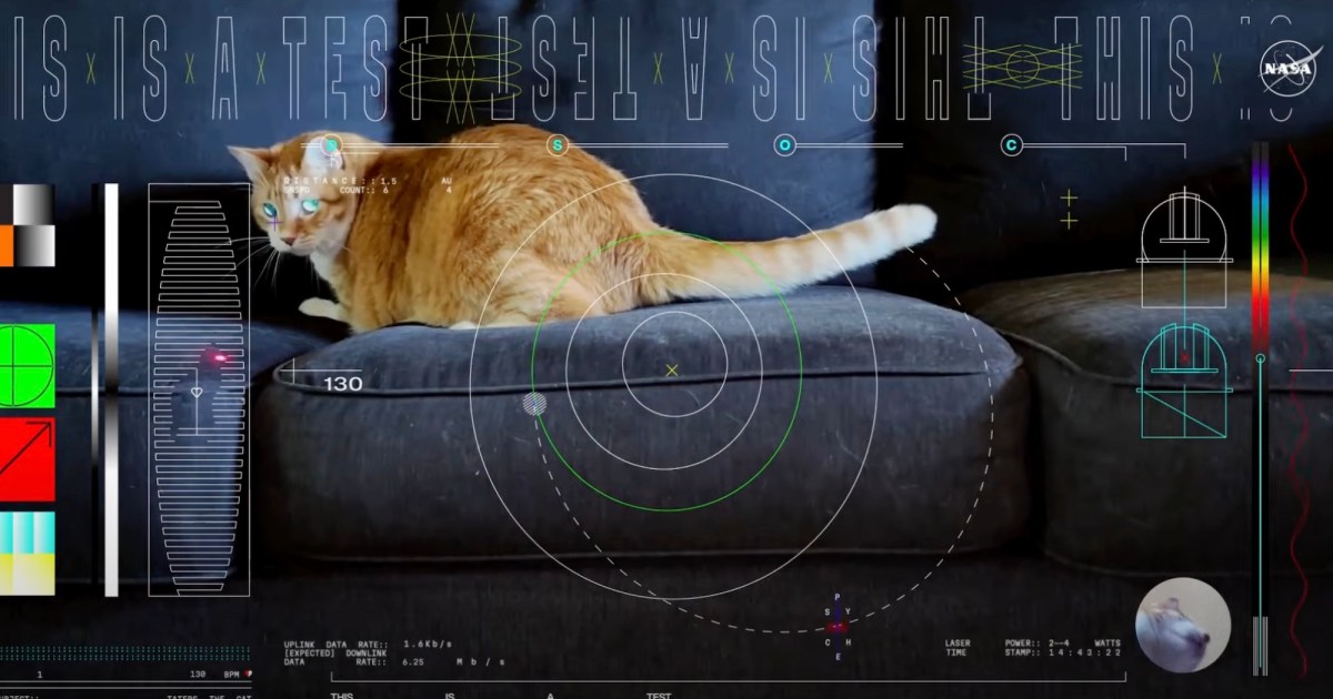 یک ویدیوی گربه ناسا در اعماق فضا کار بسیار خاصی انجام داد