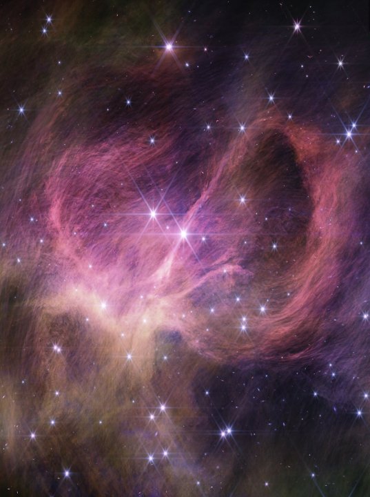 La parte central del cúmulo estelar IC 348. Los astrónomos peinaron el cúmulo en busca de diminutas enanas marrones que flotaban libremente.