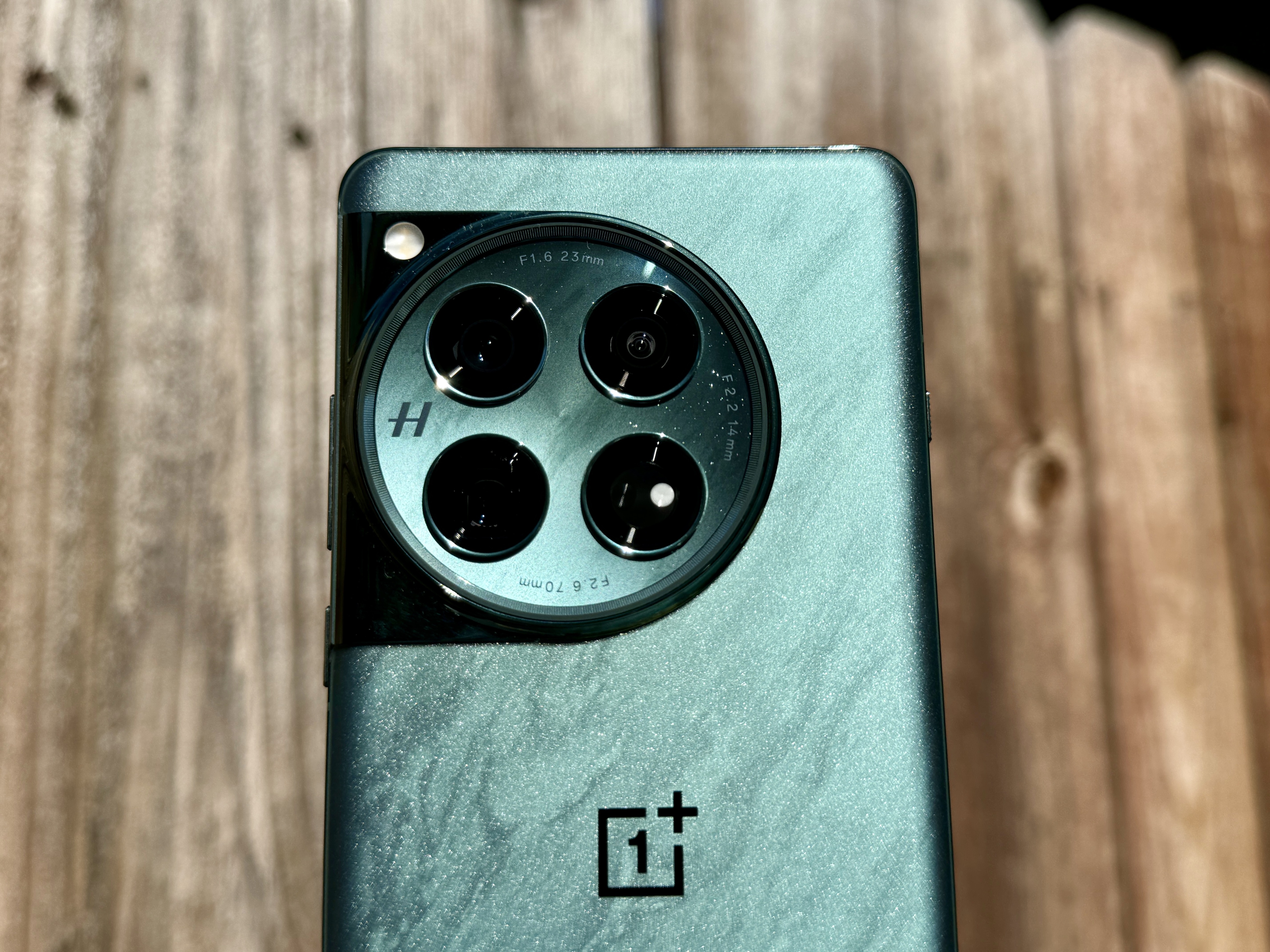 OnePlus 12 in Flowy Emerald showing rear glass and camera module.