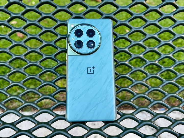OnePlus 12 Flowy Emerald leaning on a park bench.