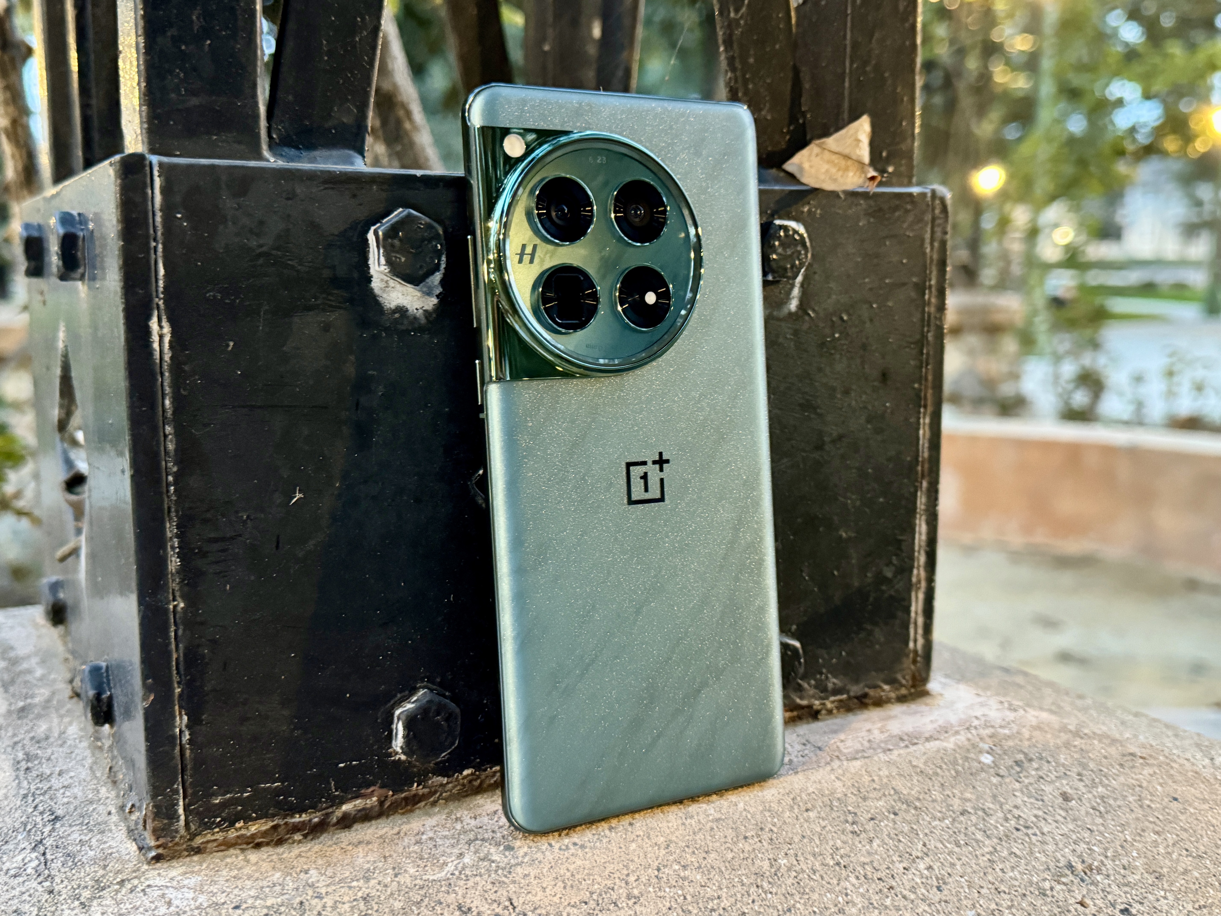 OnePlus 12 Flowy Emerald leaning on a post in a rose garden arch.
