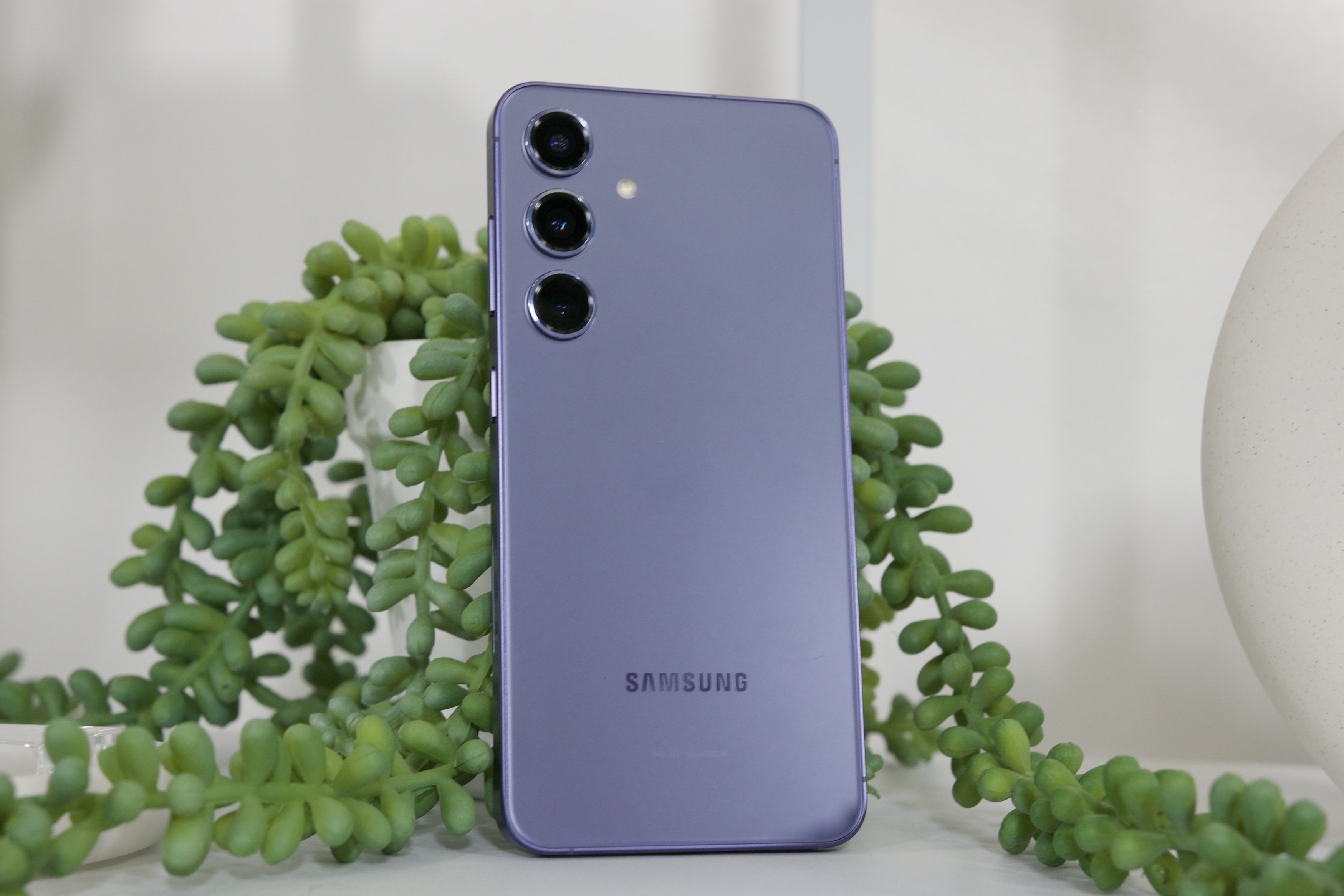 The purple Samsung Galaxy S24 sitting upright by a plant.