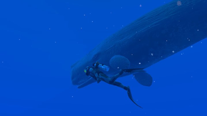 A scuba diver swims beside a giant whale in Endless Ocean Luminous.