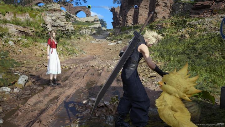 Cloud petting a baby chocobo.