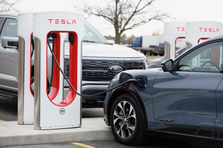 Ford EVs at a Tesla Supercharger station.