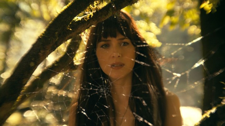 Dakota Johnson looks through a spiderweb in an image from Madame Web