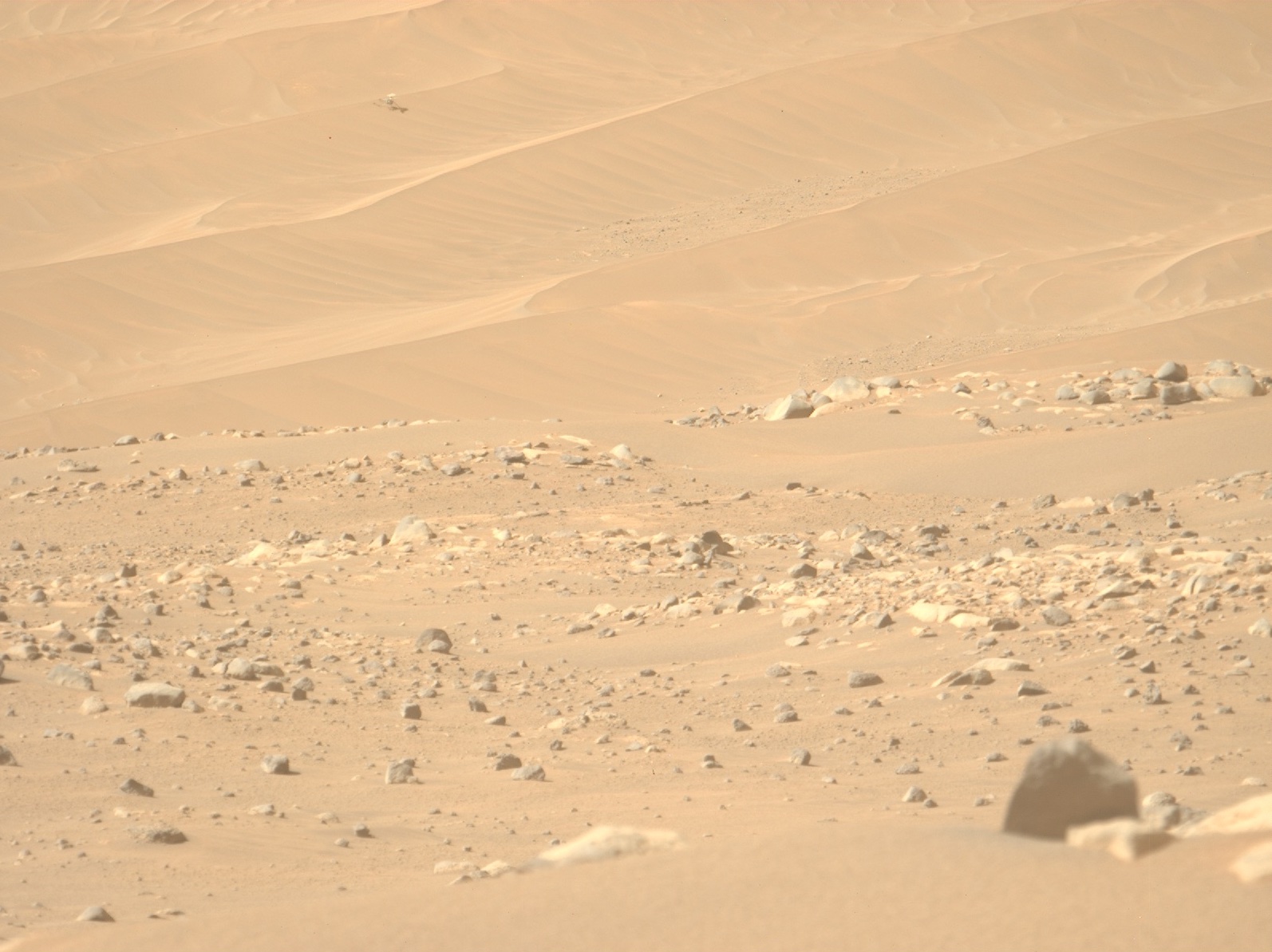NASA's damaged Ingenuity aircraft spotted in new Mars photo - Vimarsana News