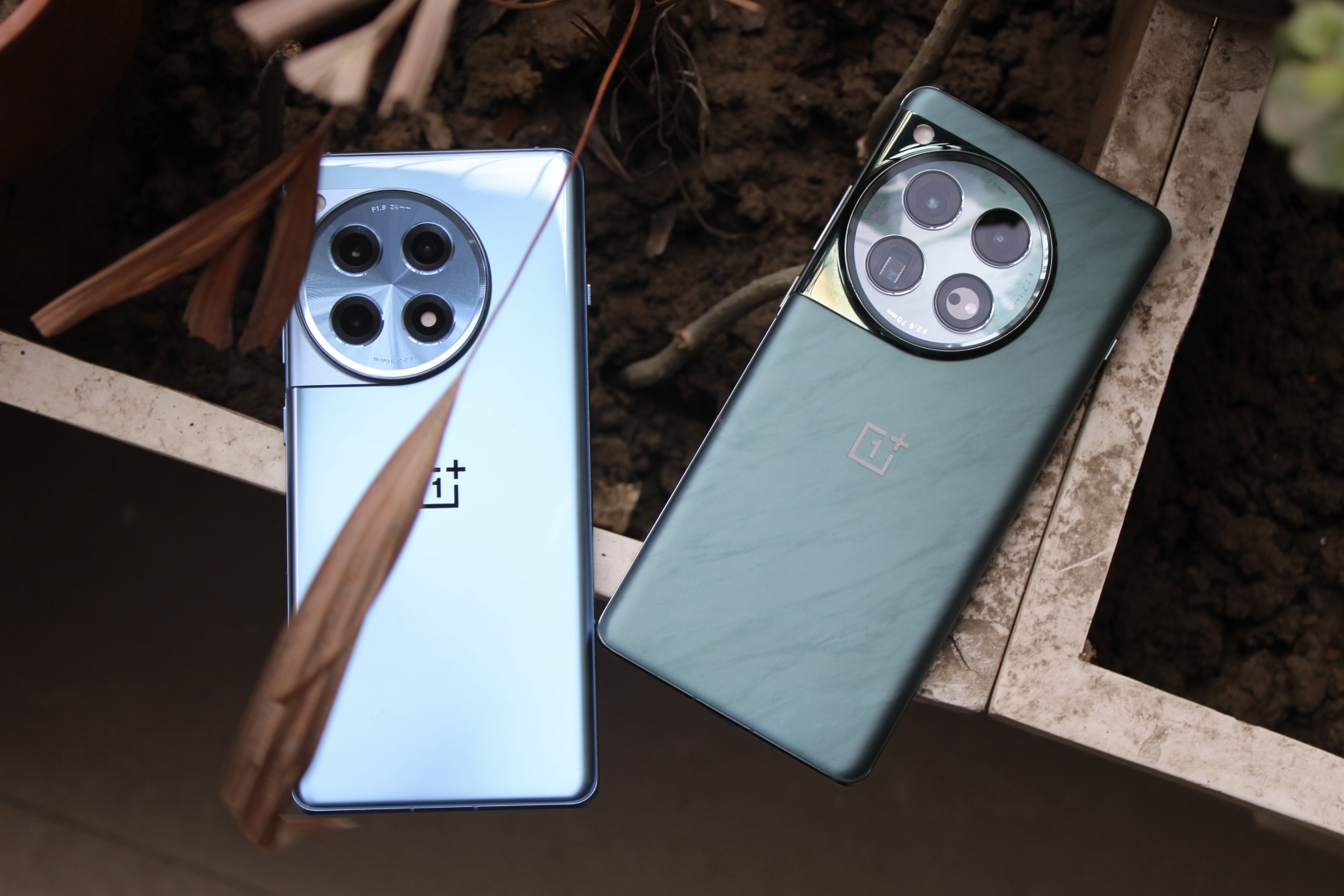 OnePlus 12 vs. OnePlus 12R: don't buy the wrong phone - Vimarsana News