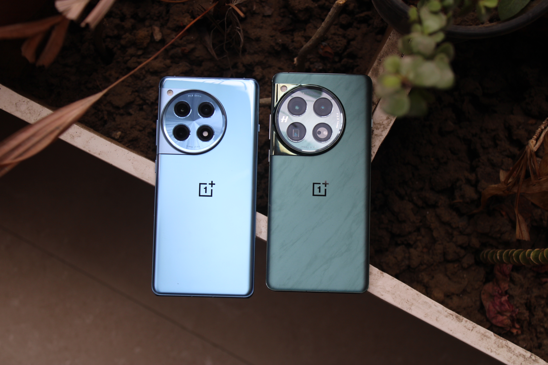 A OnePlus 12 (left) and a OnePlus 12R.