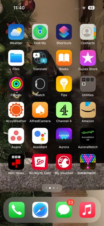 The iPhone home screen.