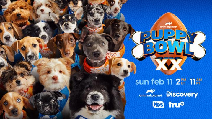 A promo image for Puppy Bowl XX/