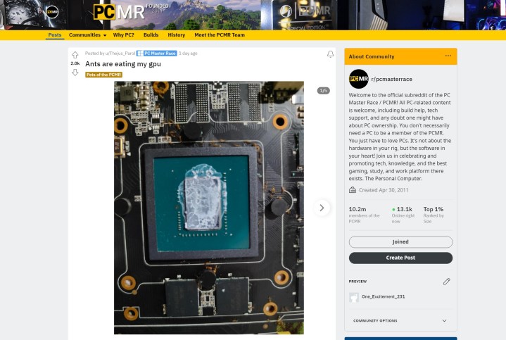 A Reddit post of ants eating a graphics card.