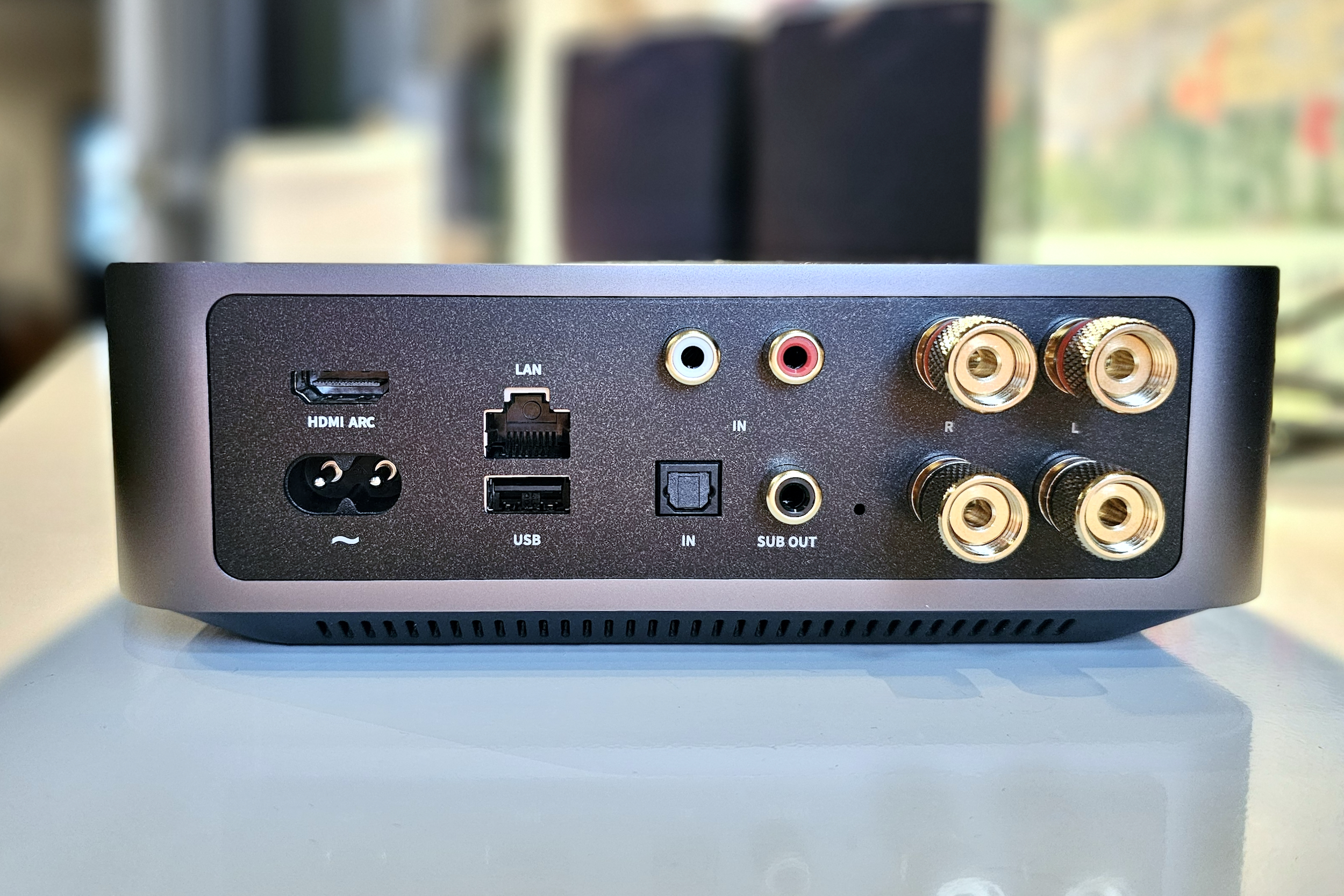 The WiiM Amp is a stream-everything receiver with Mac Mini vibes - The Verge